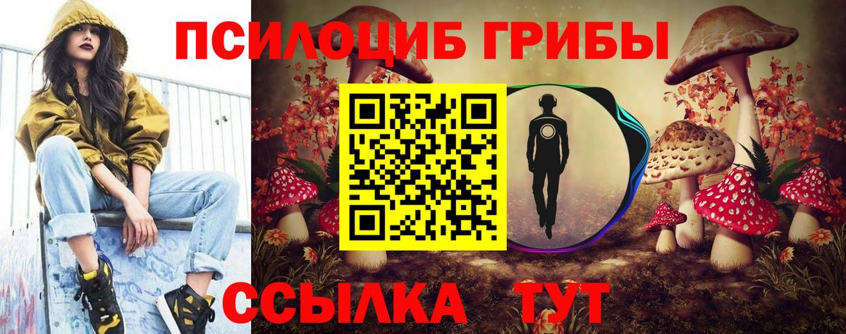 Южно-Сахалинск  Галлюциногенные грибы прущие грибы  Вход с VPN  Псилоцибиновые грибы Magic Shrooms 